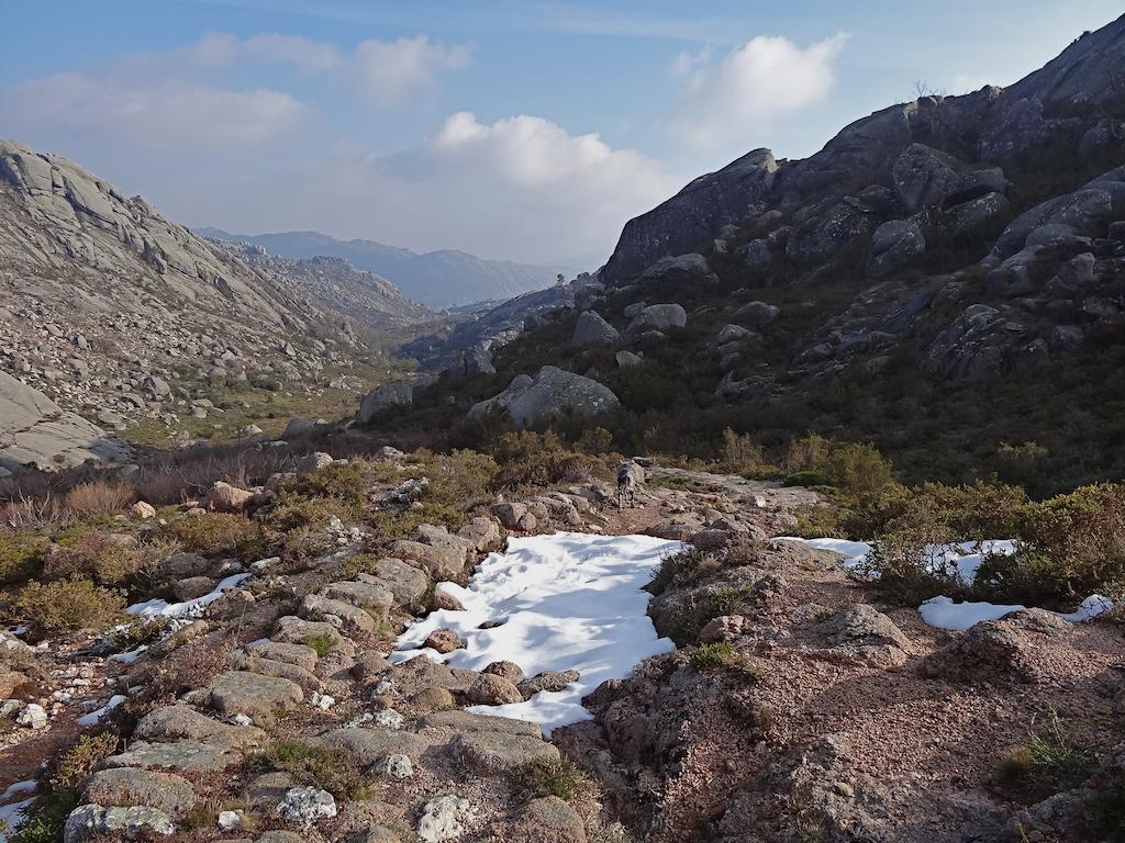 Casa Da Cerejeira - Casas De Alem - Ecoturismo Villa Arcos de Valdevez Eksteriør billede